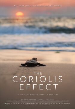 DokART - The Coriolis Effect