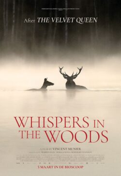 Whispers in the Woods