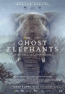 DokART - Ghost Elephants