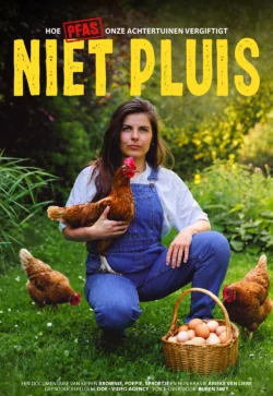 Niet Pluis